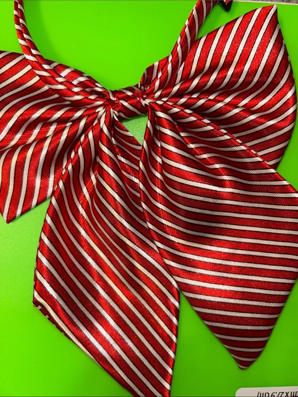 NWOT Women’s Red and White Striped Bow Neck Tie